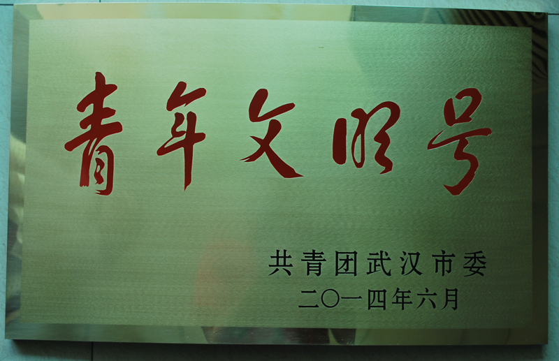 湖北東信醫(yī)藥榮獲 “2013-2014年度武漢市青年文明號”榮譽(yù)...