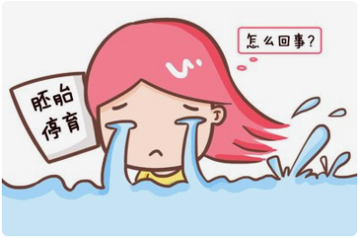 好好的胚胎怎么就停育了呢？