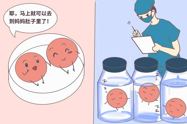 哪些胚胎可用于移植？了解下！