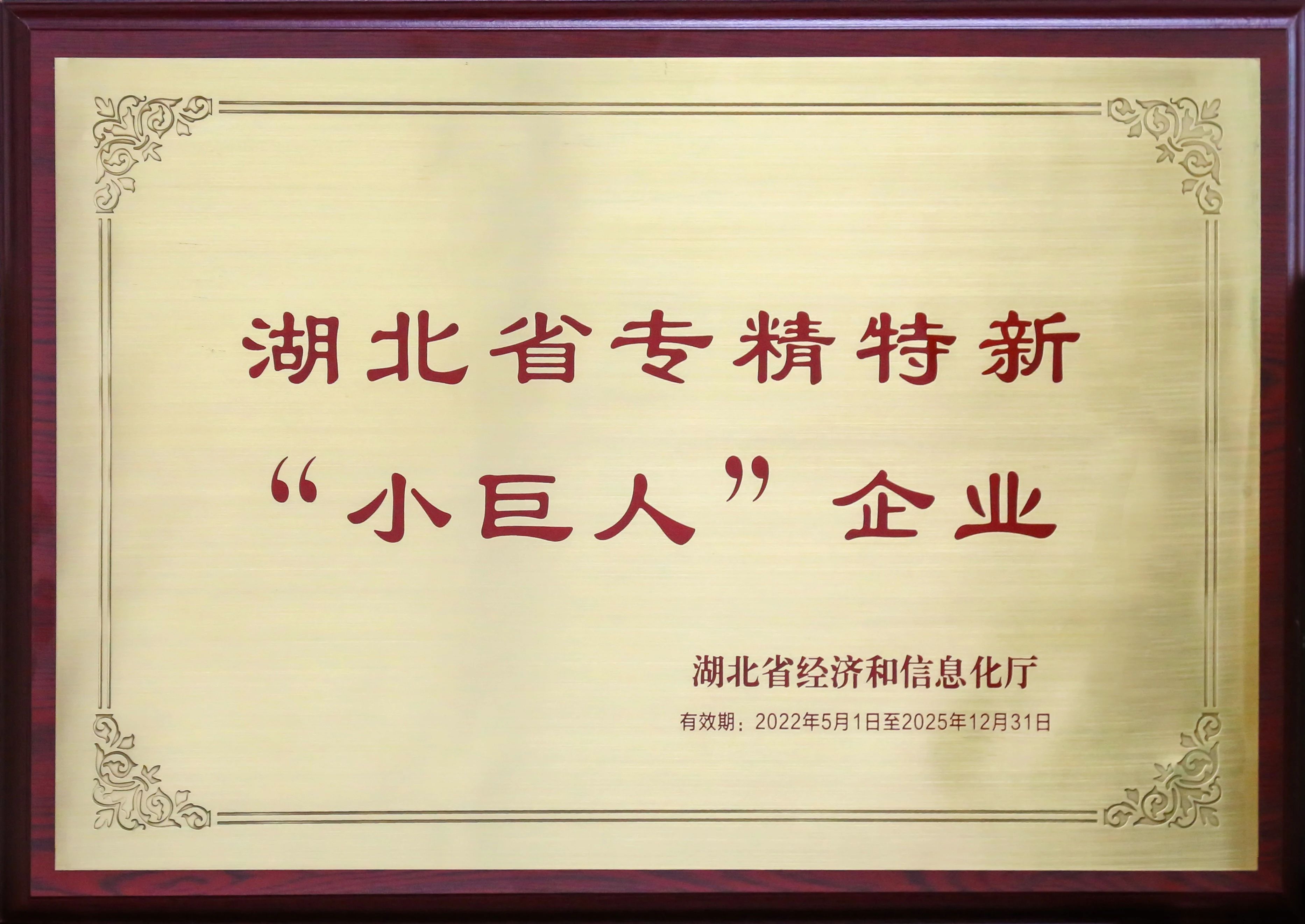 盤點(diǎn)新疆26省聯(lián)盟集采，湖北東信擬中選（婦科）品種數(shù)量名列榜首